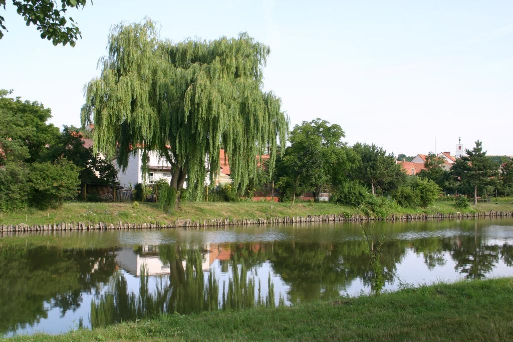Hotel Penzion U Sklepu Hovorany Zewnętrze zdjęcie